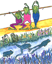 frogs practicing ballet by a stream with swimming frogs